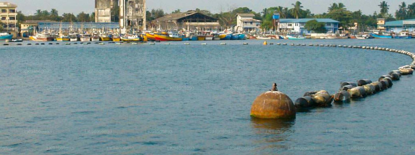 Body of Missing Fisherman Found Floating
